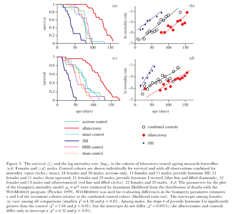 Гены vs. Энтропия  — Mortal Kombat - 5